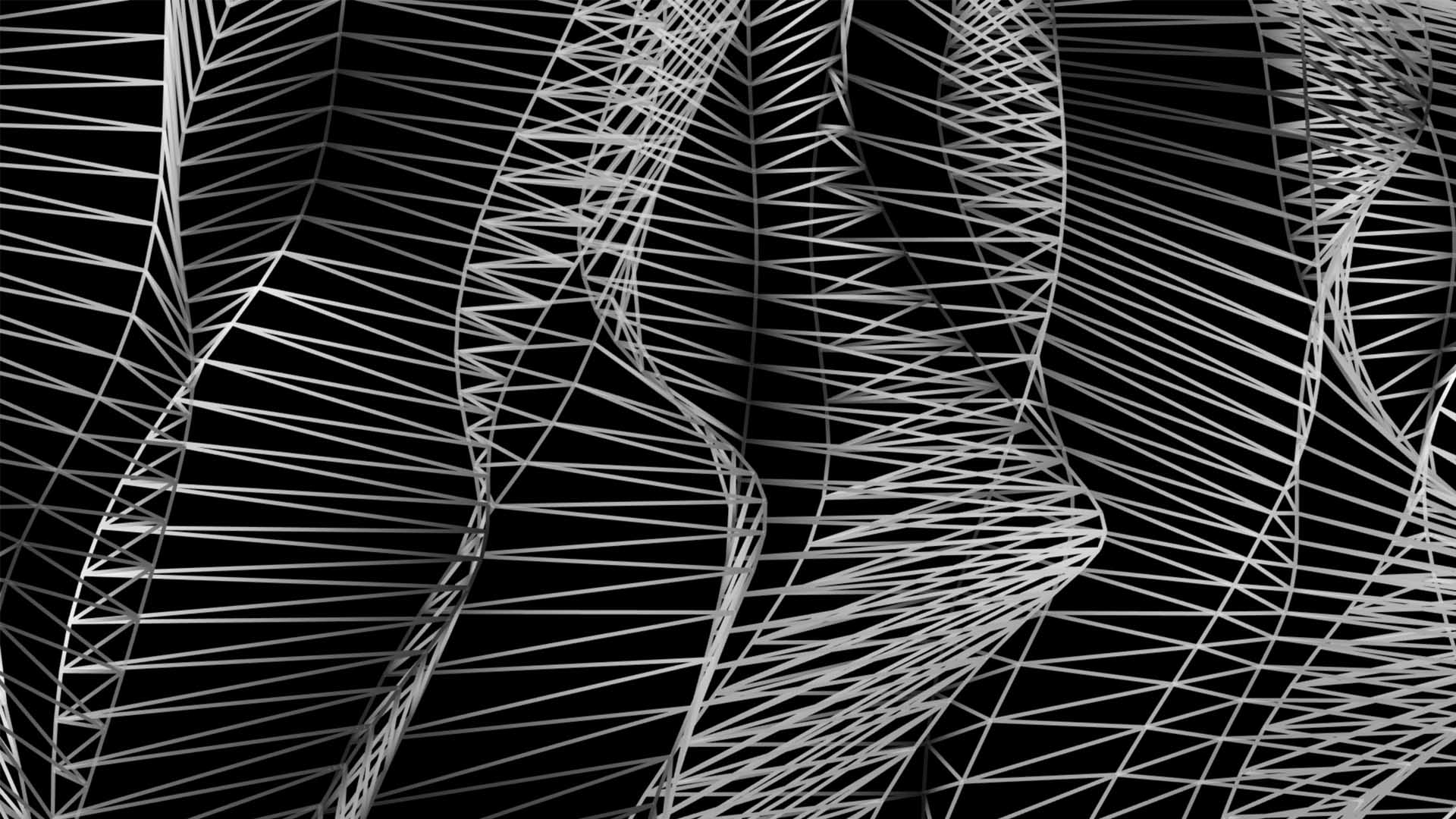line wireframe texture pattern projection