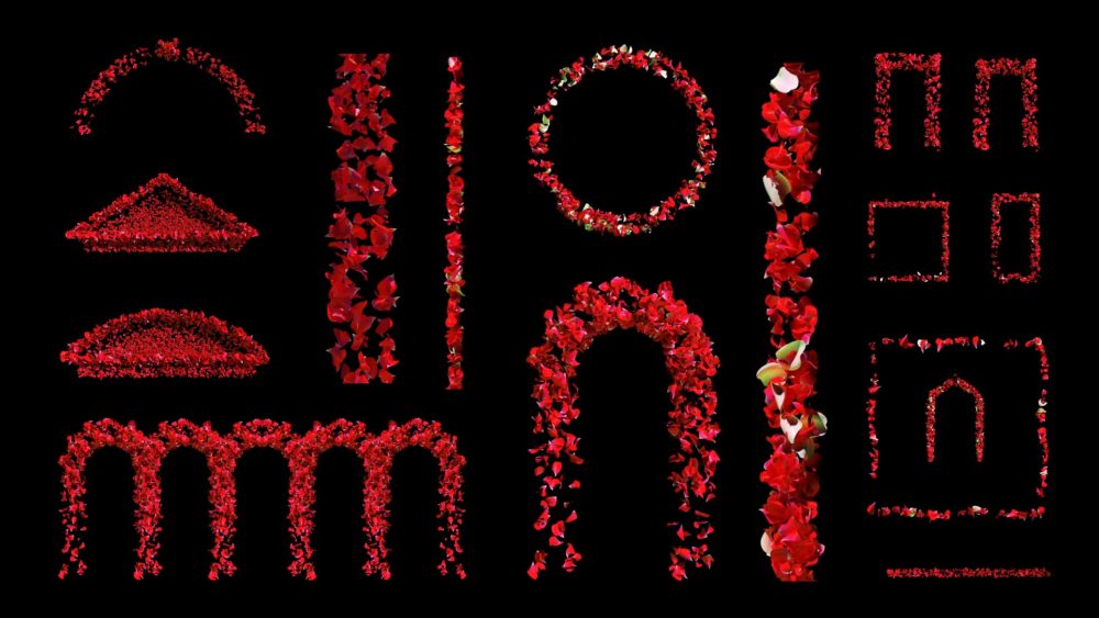 falling petals of rose flower 3d animation for video mapping
