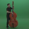 Full-size-man-in-black-uniform-play-jazz-rock-on-double-bass-String-music-instrument-isolated-on-green-screen_007