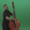 Funny-happy-man-with-smile-playing-jazz-on-double-bass-String-music-instrument-isolated-on-green-screen_007