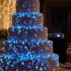 Wedding Cake Mapping Visuals